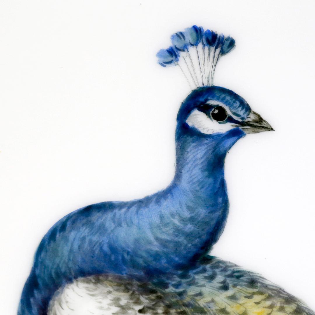 【美品 １級品】マイセン 孔雀 陶板画 プラーク 額装 送料込み