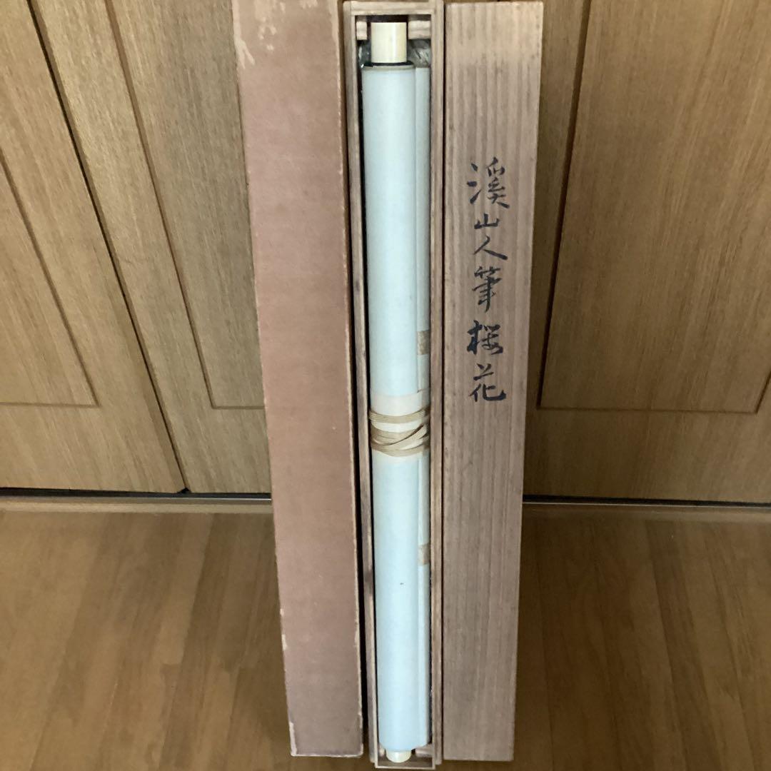 富田渓仙　　紙本彩色画　【　櫻　華　図　】《大智勝観　鑑識箱》タトウ箱　356