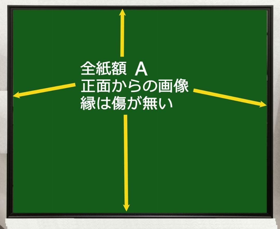 最高峰フォトフレーム　２枚組　全紙　美品　ワイドマット　A1000　A3000