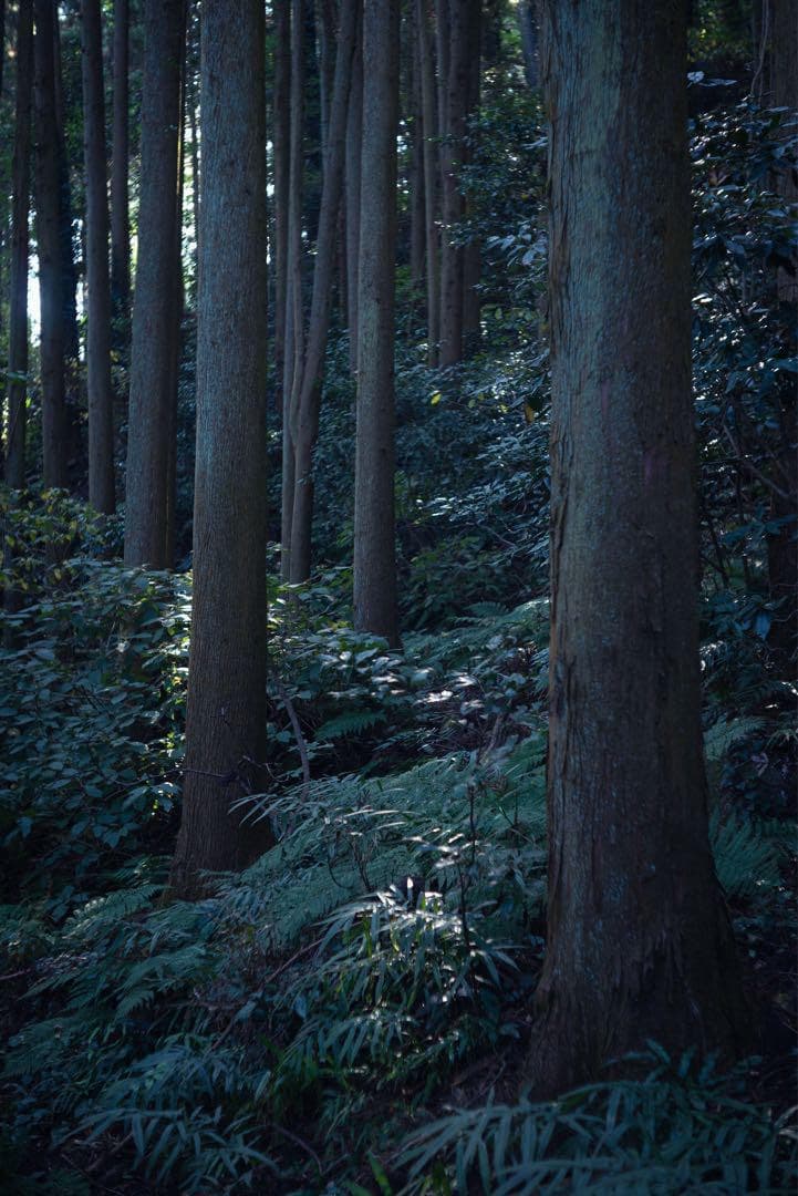 Leitz Summarit 5cm F1.5 フィルター付き（山崎光学清掃済）