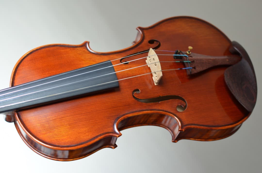 【本体のみ】Gliga Cristian Maestro バイオリン 4/4