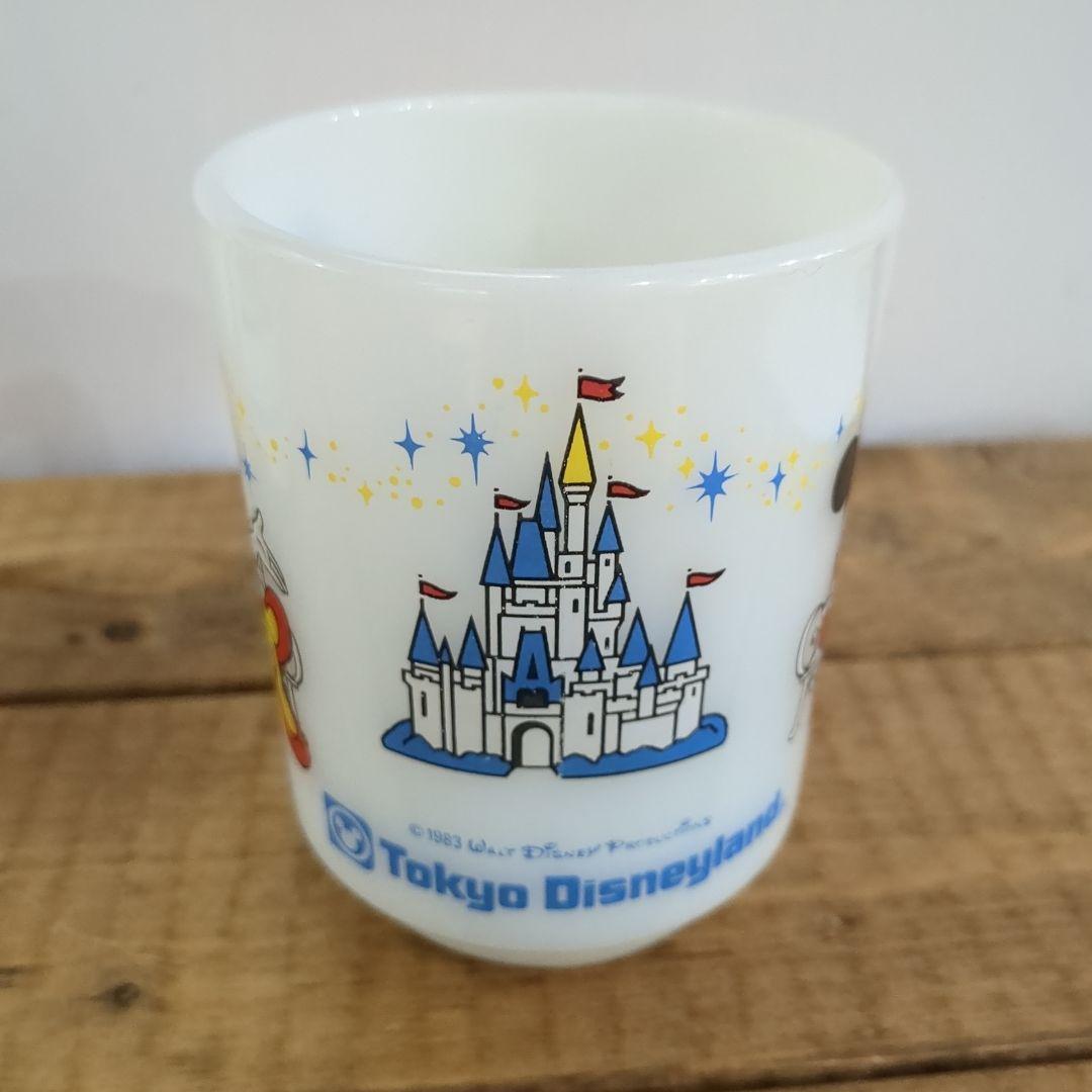 ファイヤーキング　ディズニー　ペア