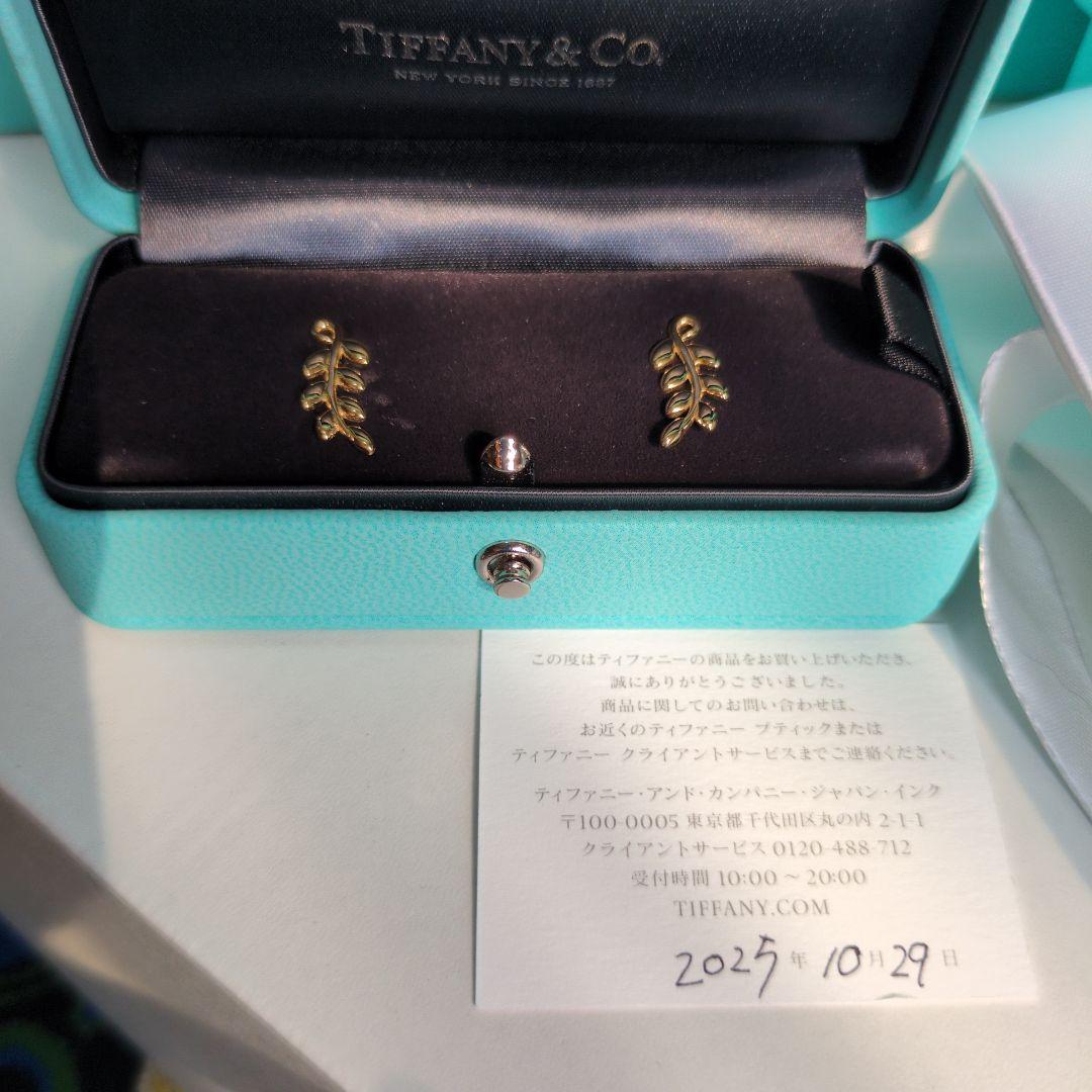 新品　ティファニー オリーブリーフクライマーピアス K18イエローゴールド