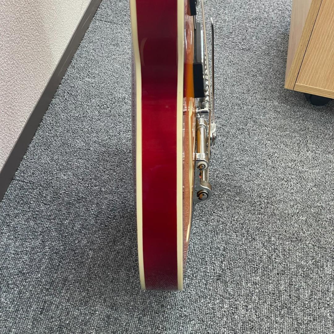 【セミアコ】IRIN アイリーン ホロウFホール22フレット トレモロアーム機能