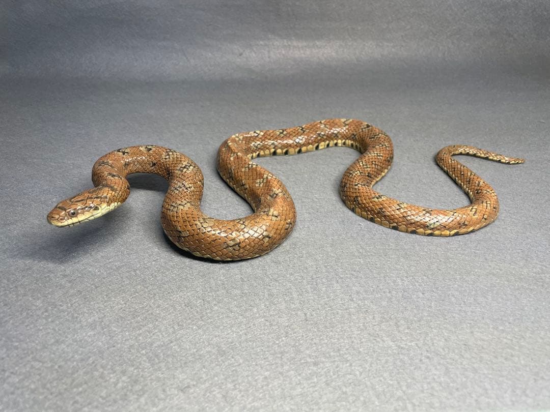 ジムグリ(レプリカ)