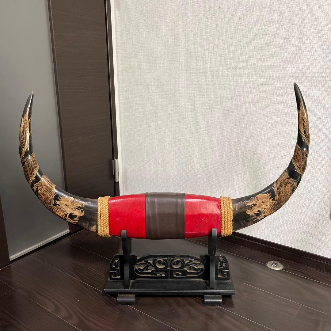 【水牛の角】《専用台付き》