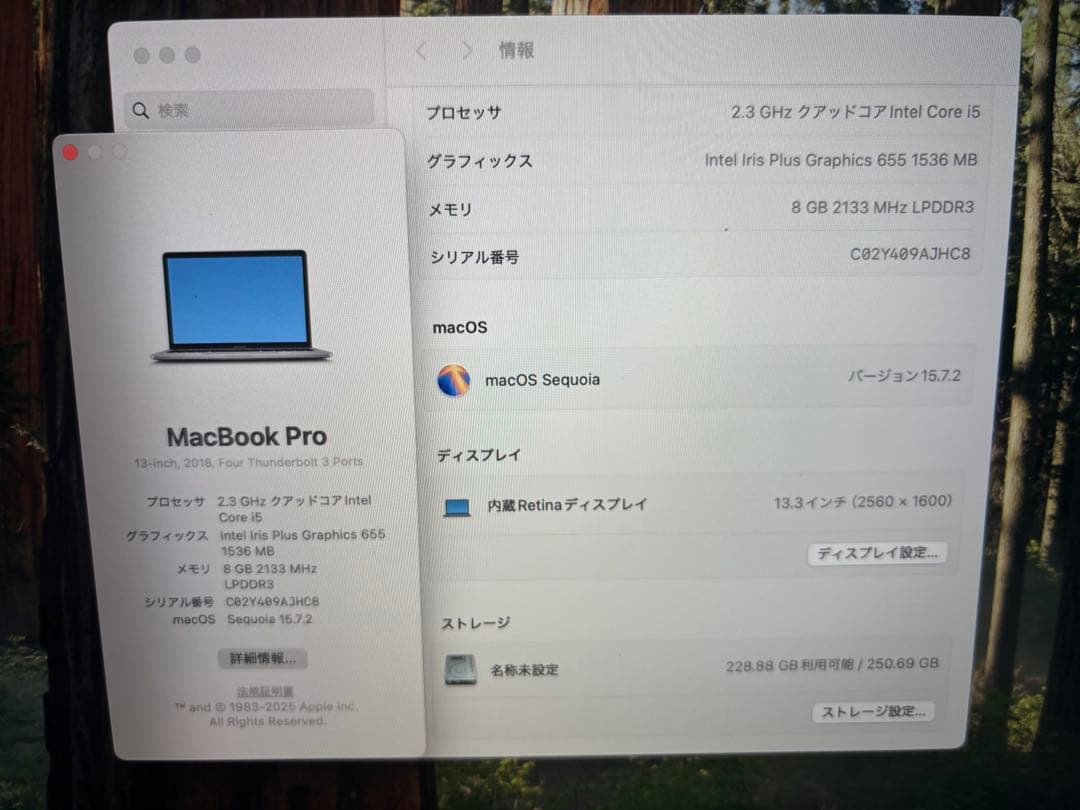 MacBook Pro 13インチ　A1989 256GB Retina