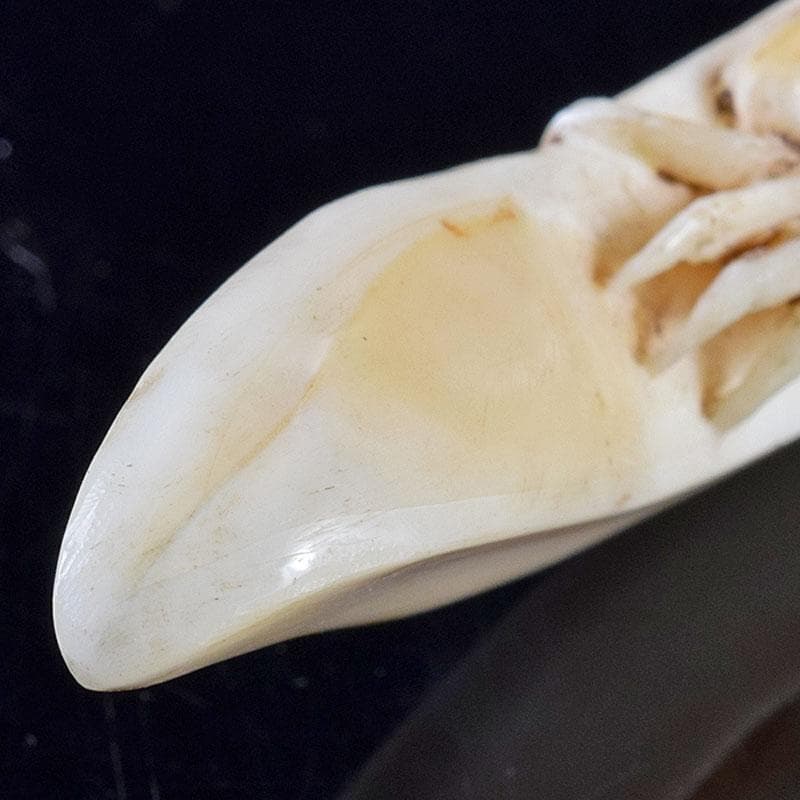 時代提げ物　獣骨　根付　石見根付　蟹文根付　M　8659