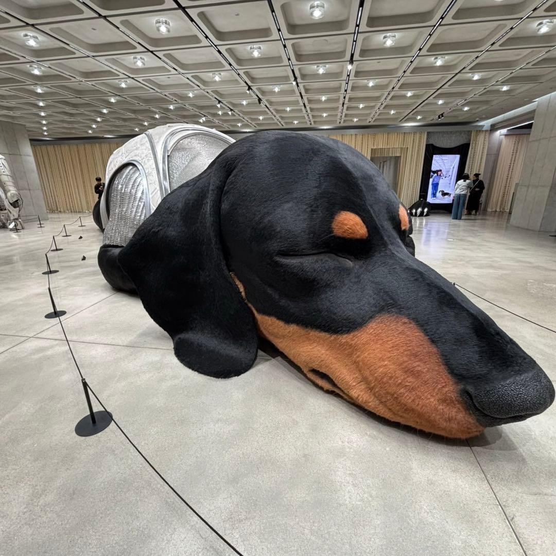 【韓国限定】NUDAKE（ヌデイク）　ROOI 紅茶（ルイボスティー）