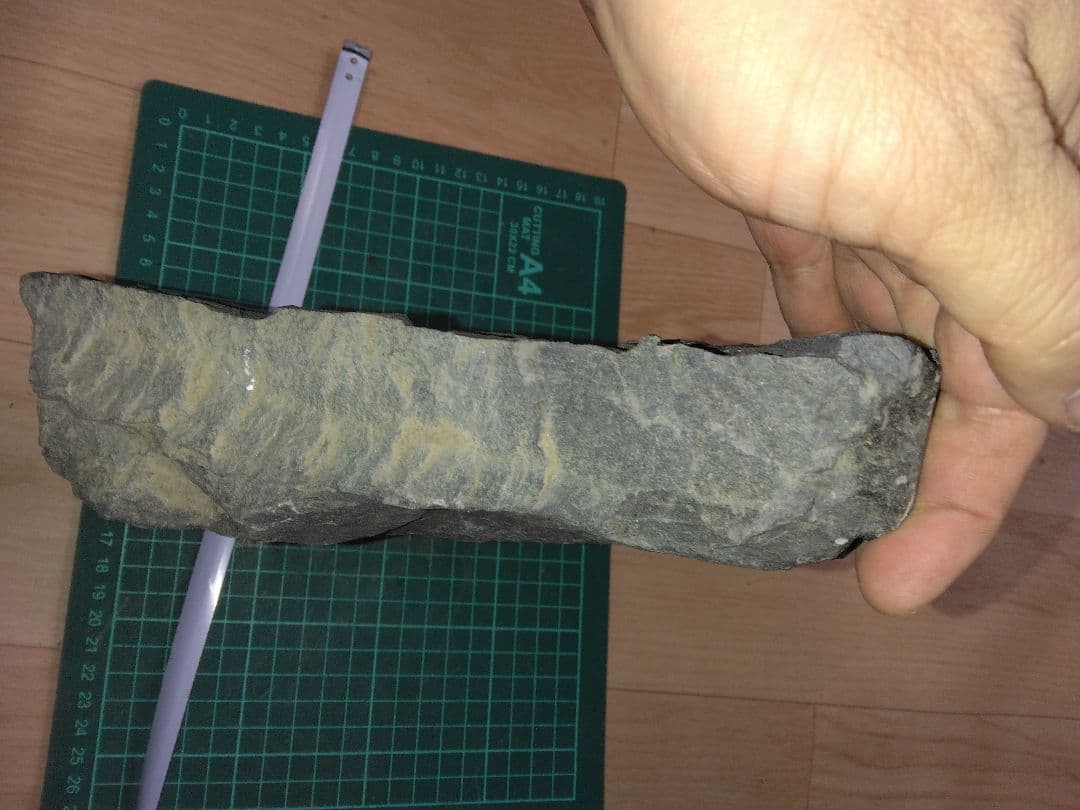 福島県産　シダ化石　大型標本　植物化石　美品