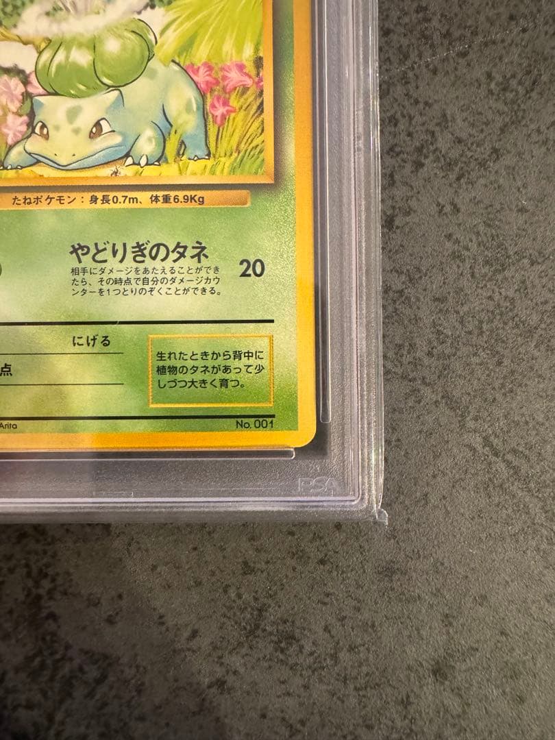 【PSA9 初版】フシギダネ ポケモンカード 旧裏 初版 マークなし
