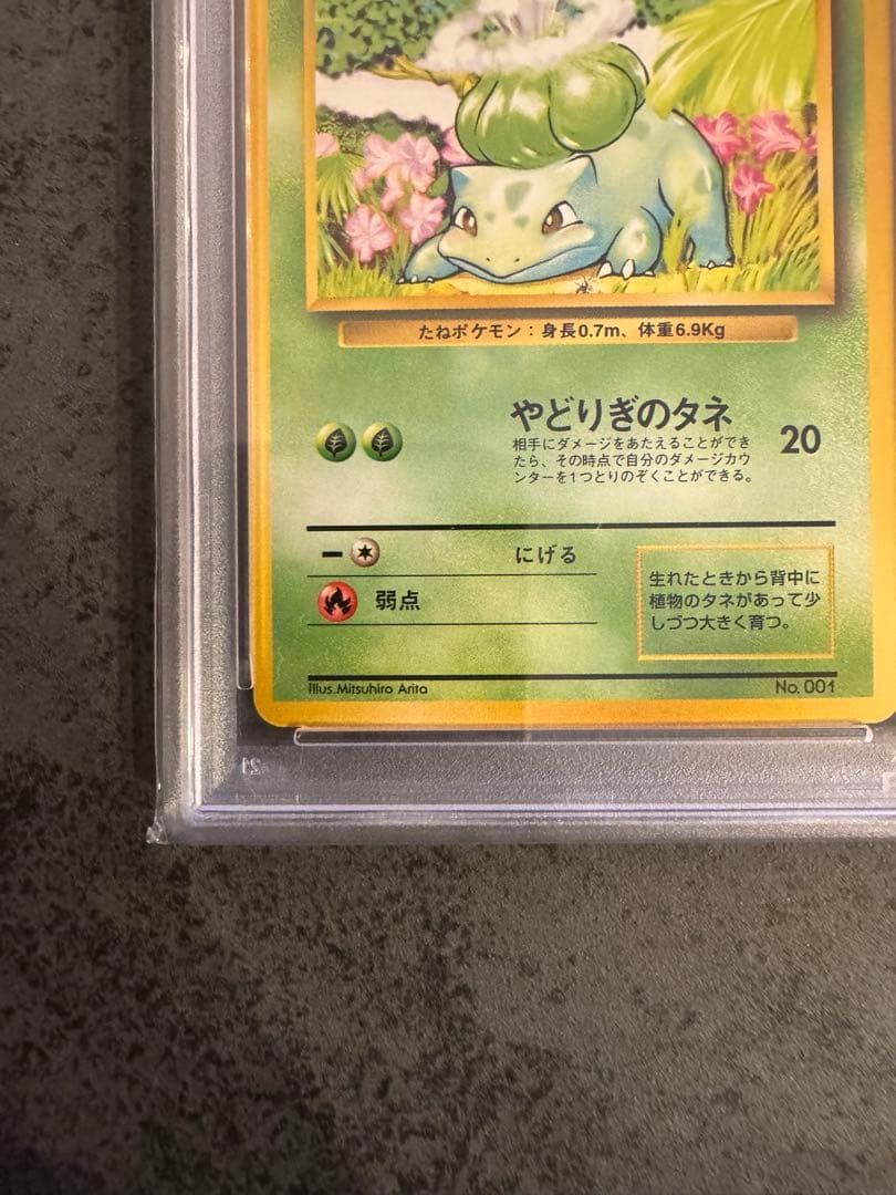 【PSA9 初版】フシギダネ ポケモンカード 旧裏 初版 マークなし