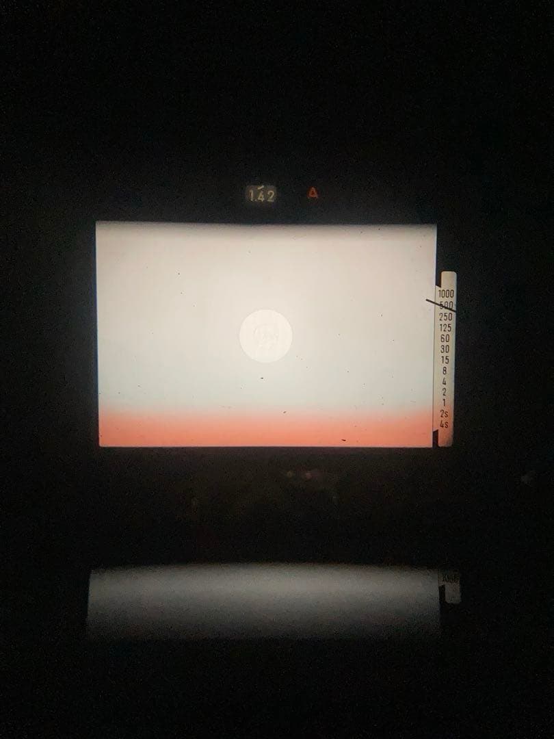 福豆　Minolta XE とCanon EF