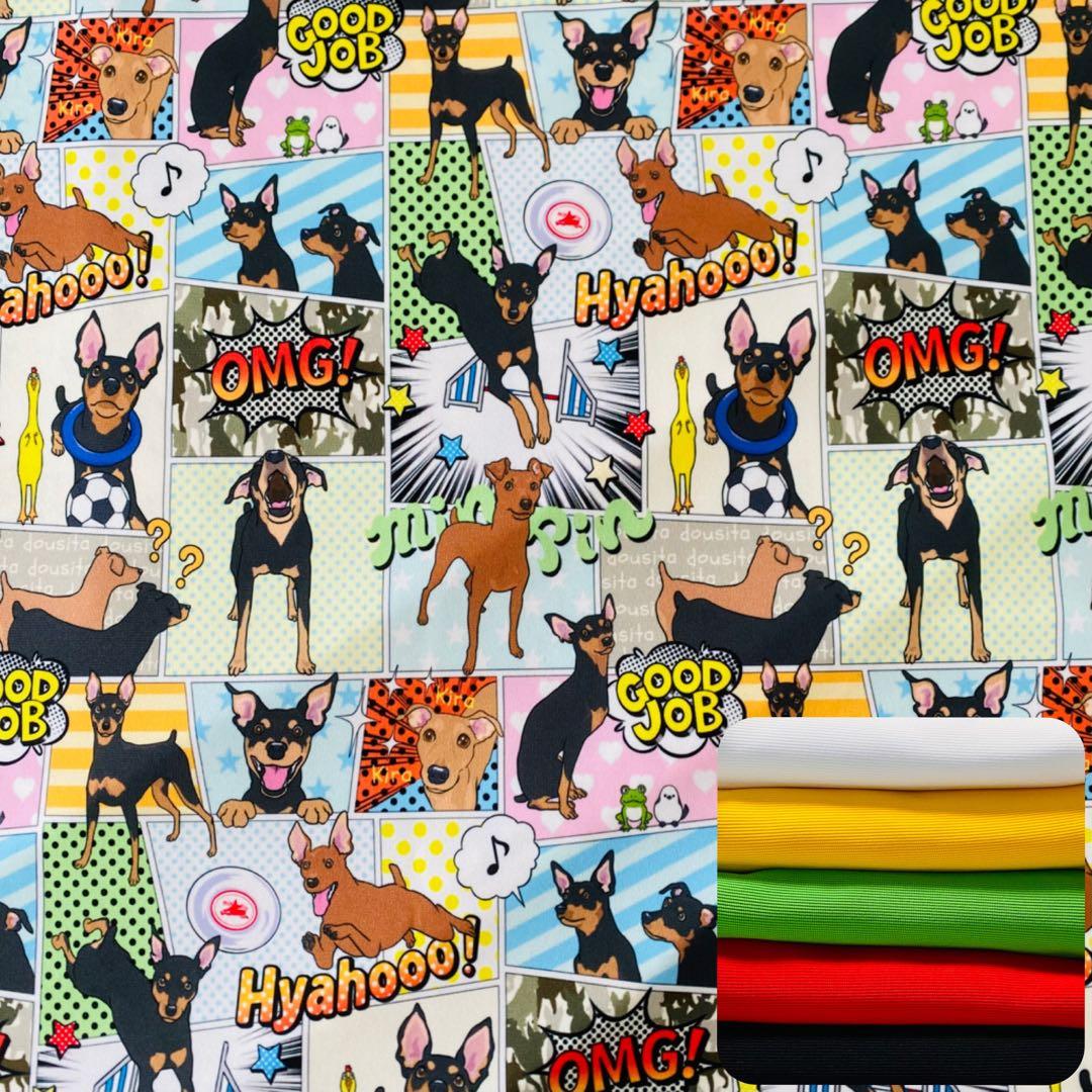 ⑮ミニピン、ミニピンを纏う　　　　　　　 　イタグレ、イタグレを纏う