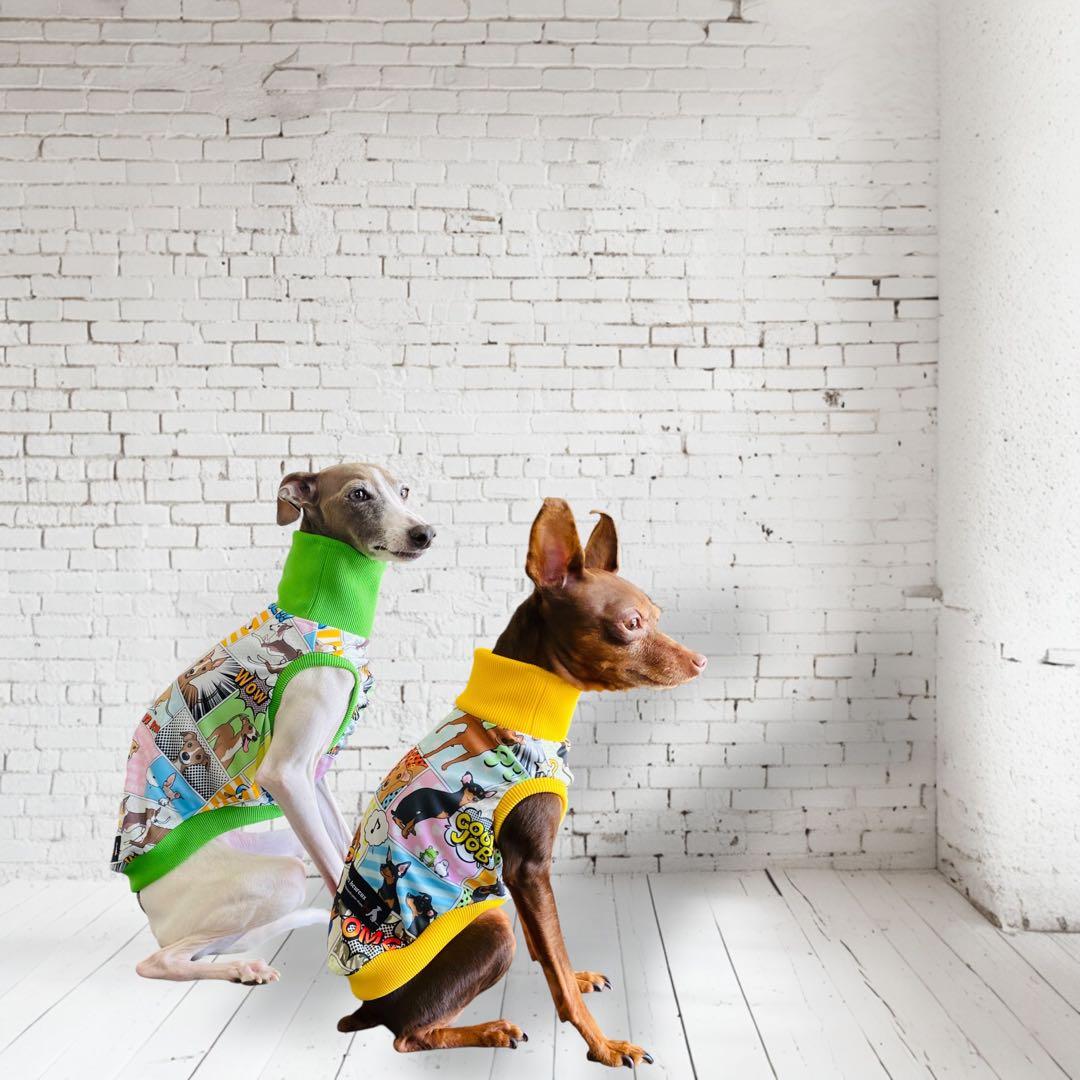 ⑮ミニピン、ミニピンを纏う　　　　　　　 　イタグレ、イタグレを纏う