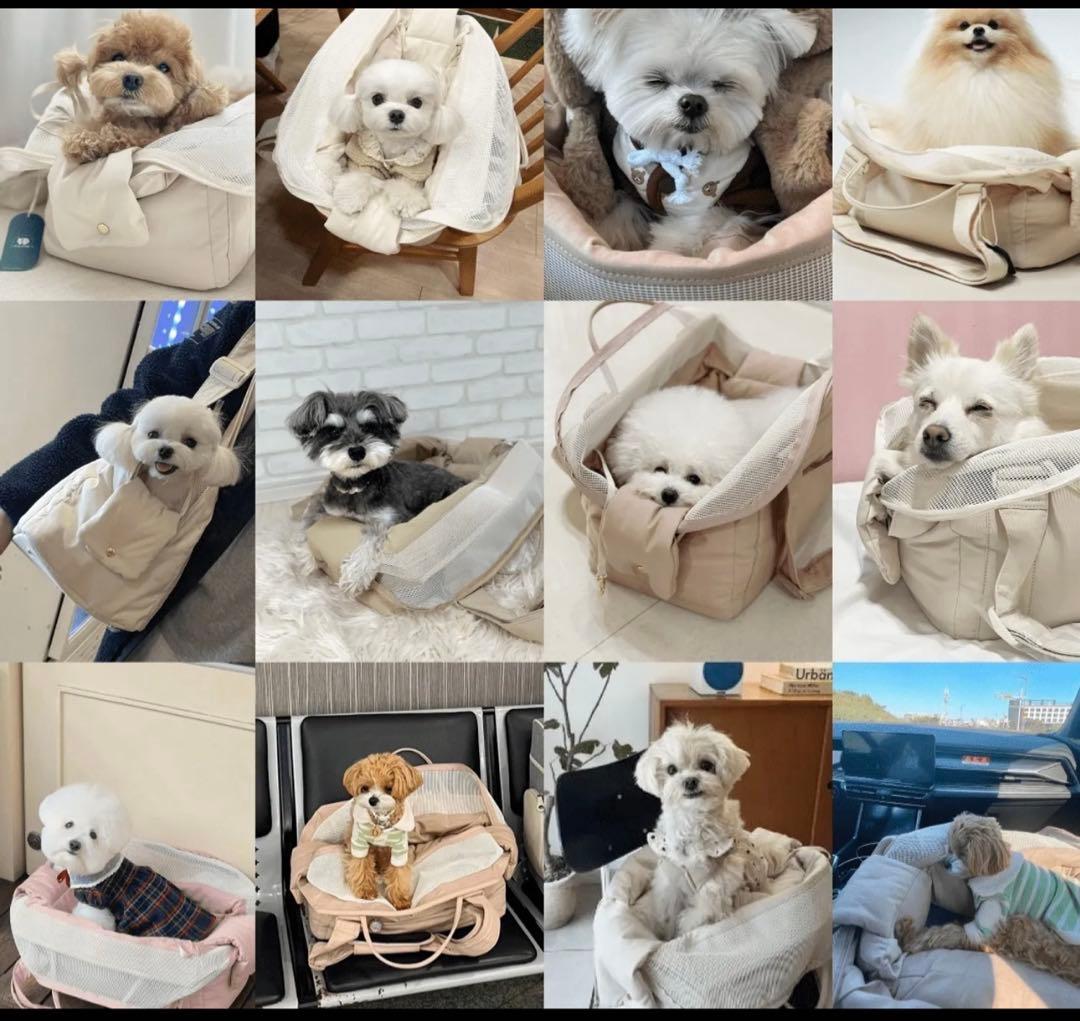 オミ[MIlliong]★コットンキャンディバックアーモンド★ large