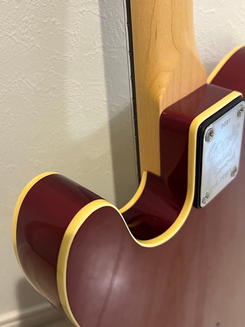 Crews テレキャスター　ギグバッグ付 キャンディアップルレッド