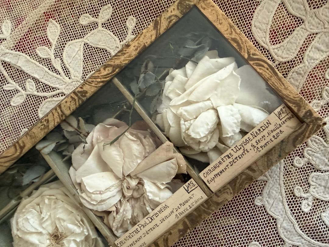 期間限定出品激レアフランスアンティーク布花サンプルガラスケース入り