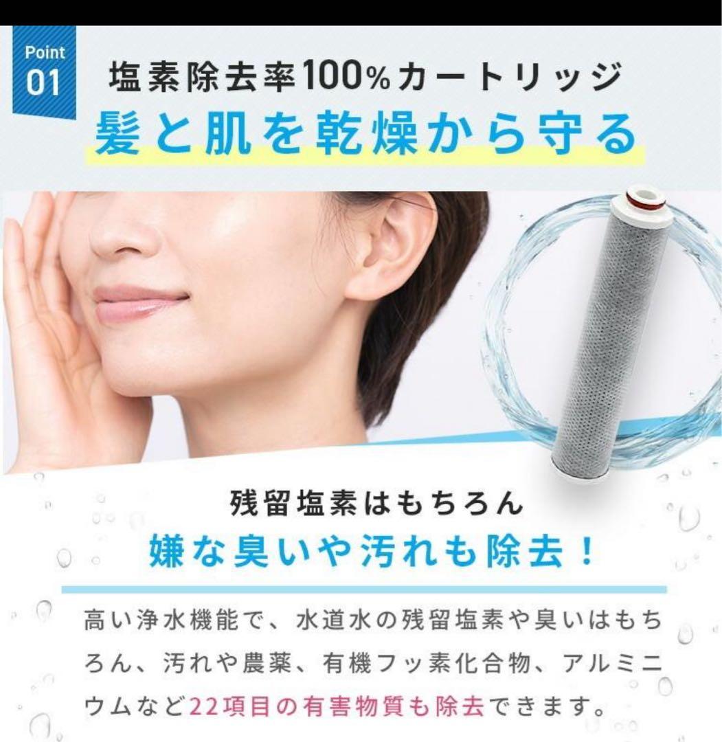 塩素除去シャワーヘッド ウルオシャワー イーテックUS-180 正規品 本体のみ