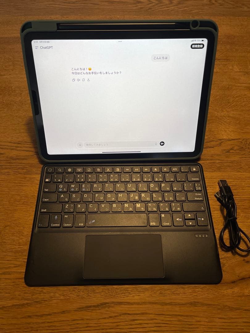 【ほぼ未使用】iPad Air Cellular+Wifi (5世代)