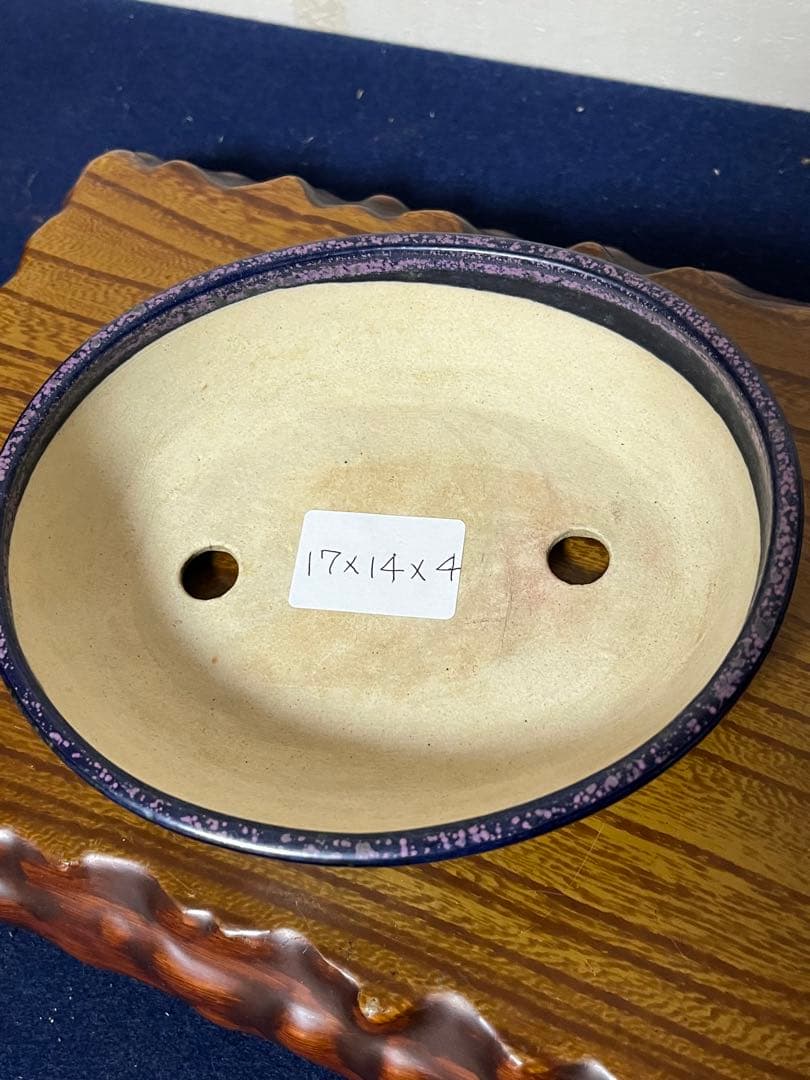 403 盆栽　盆栽鉢　植木鉢　和鉢　碧祥