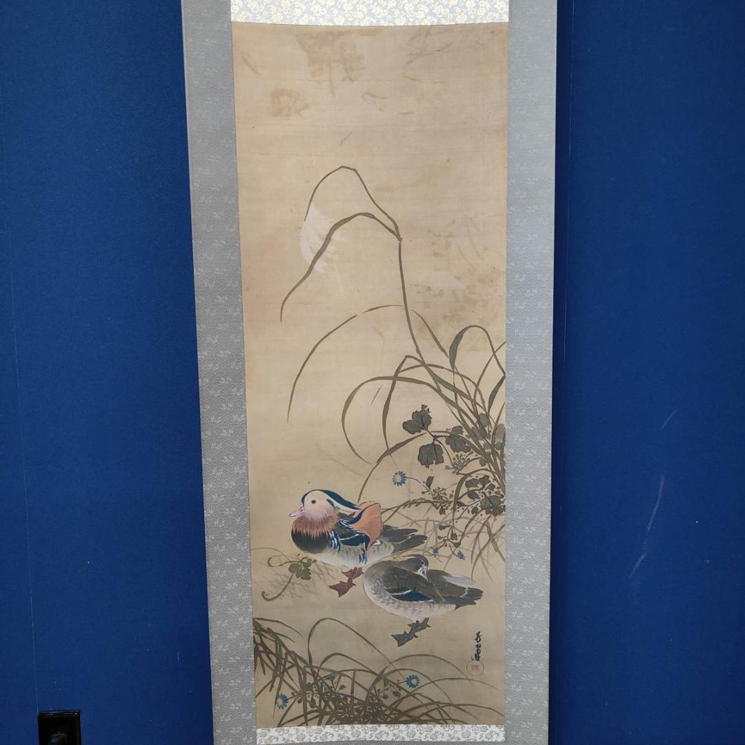 真作/芳翠/秋草鴛鴦図/オシドリ/花鳥/布袋屋掛軸A-519