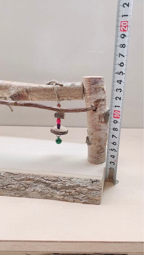 絵になる〜♪スタンド　キウイのツル