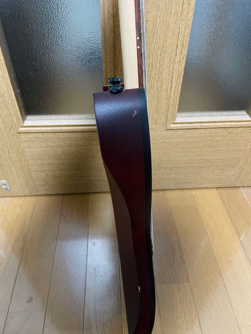 Ibanez RG7421PB / TGF 7弦ギター