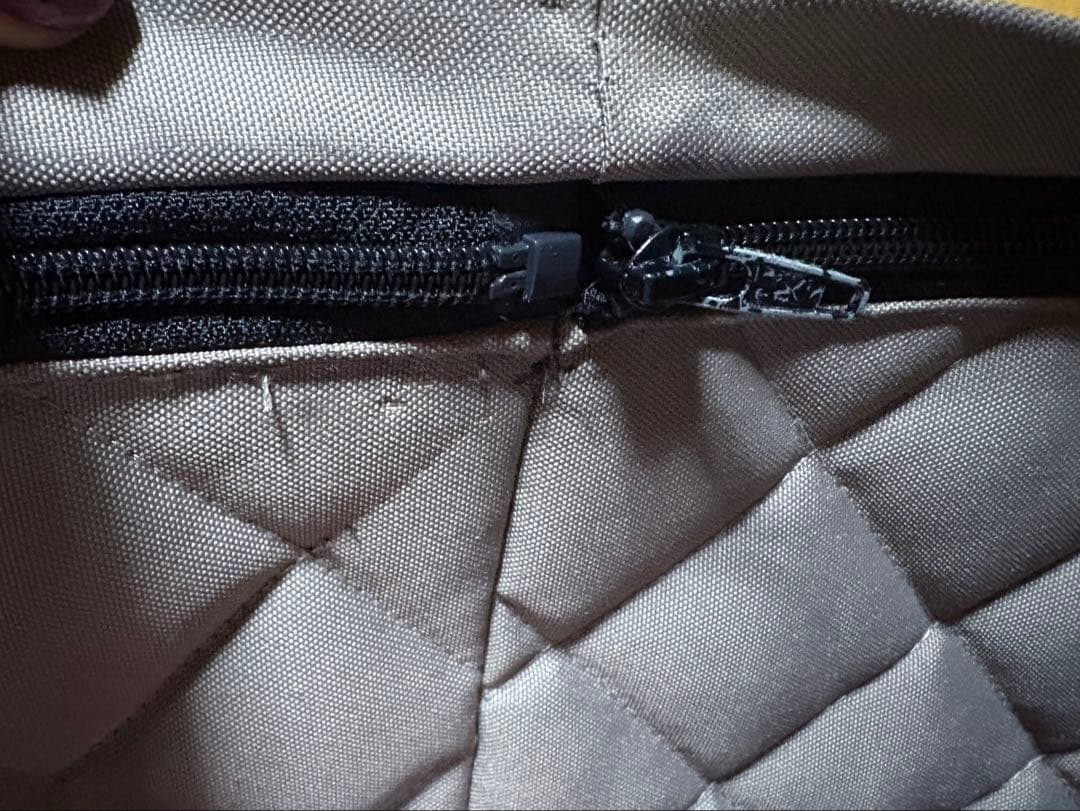 エアバギー　ウィズX