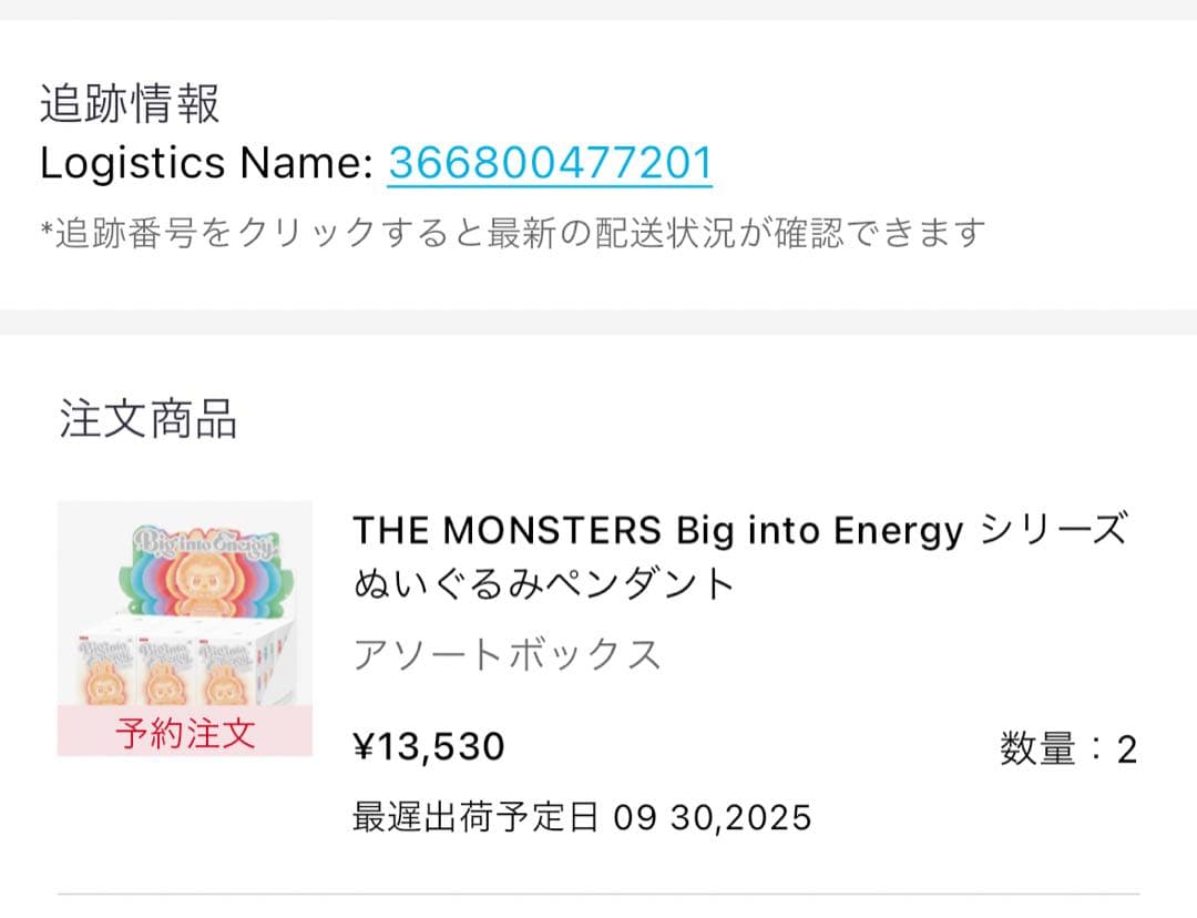 正規品 LABUBU Big into energy アソートボックス