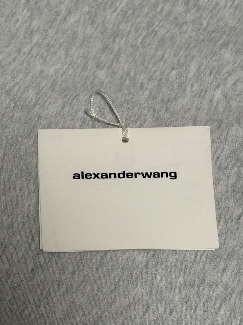 ALEXANDER WANG XS 登坂広臣着用