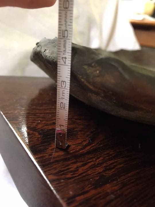 盆栽鉢　南蛮鉢②時代古鉢大型盆栽鉢詳細不明希少山野草盆栽苔盆栽鉢葉形盆栽鉢水石