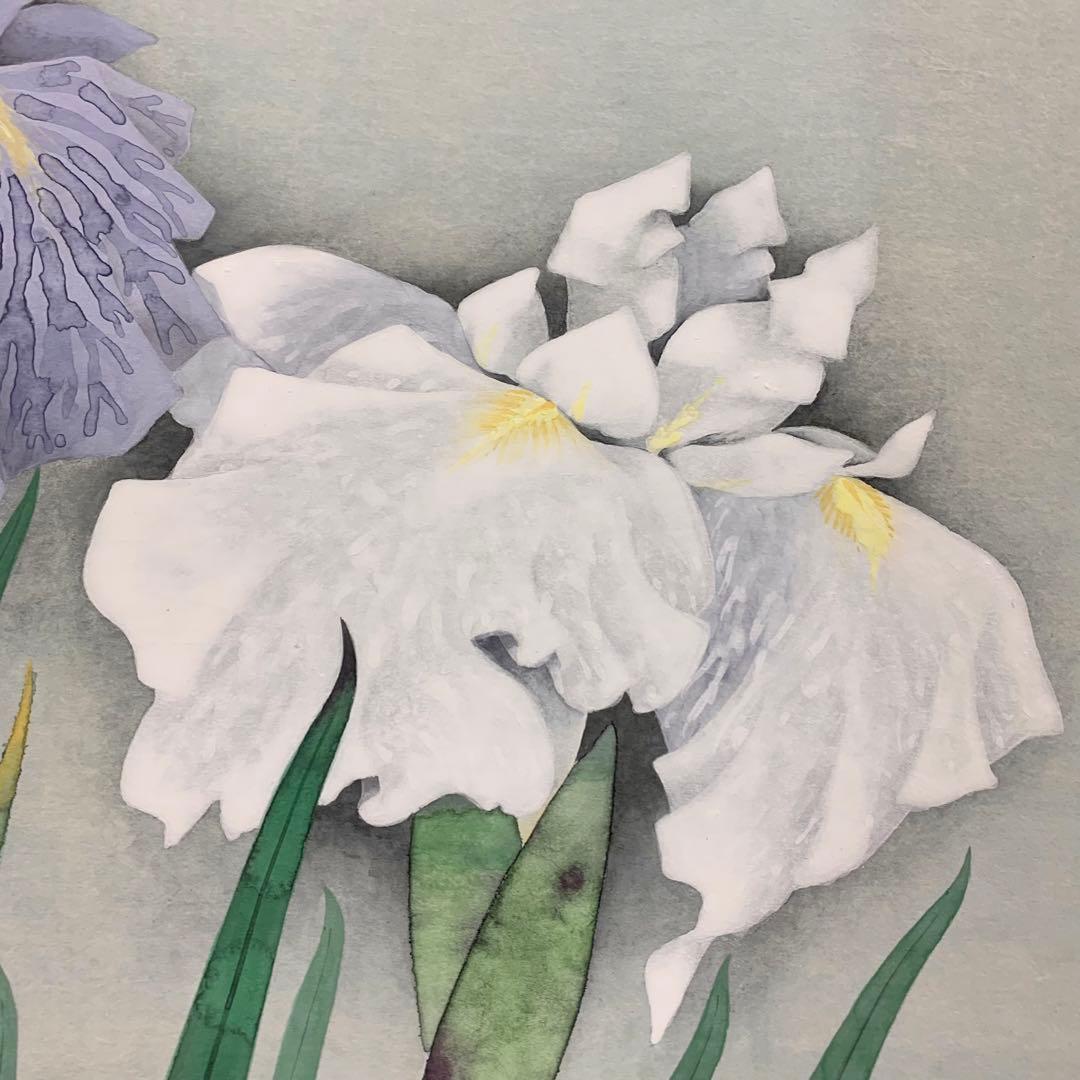 【掛軸】井上清治「菖蒲」共箱 太巻 二重箱仕立て