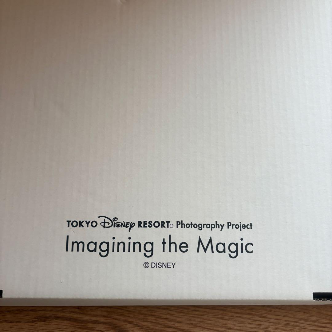 ディズニー　壁絵　imaging the magic