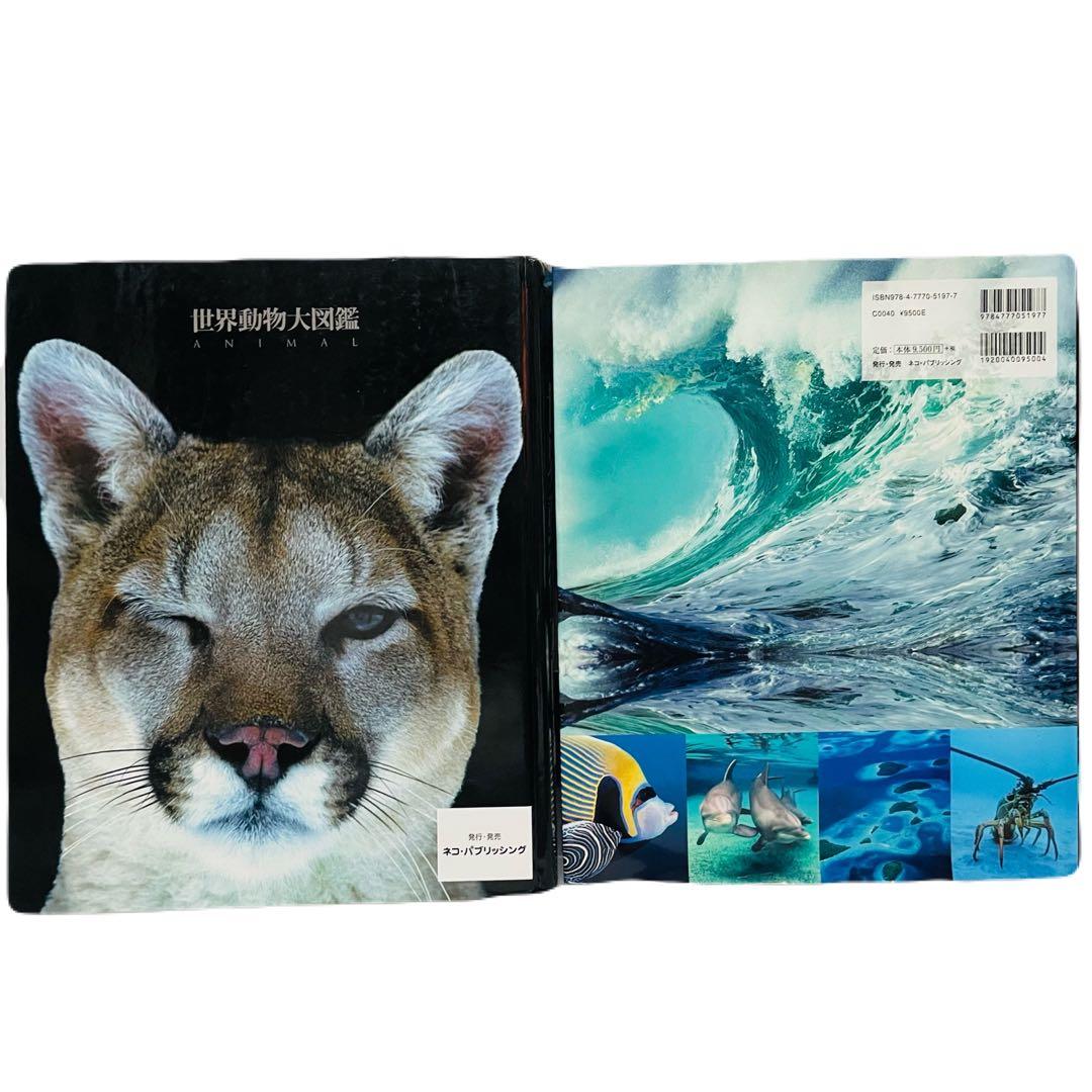 ☘【希少 2冊セット】海洋大図鑑 世界動物大図鑑
