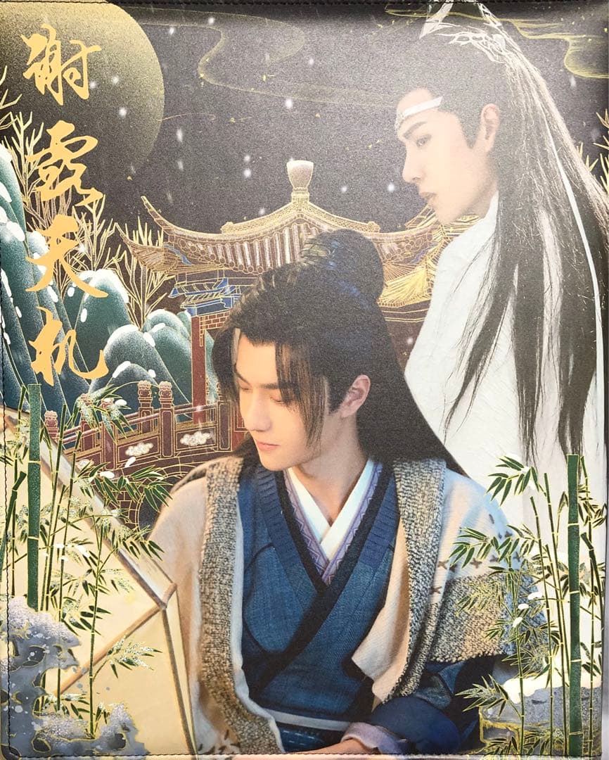 王一博 カードバインダー＋A4・Pカード他リフィル50枚付 アルバム q 写真集