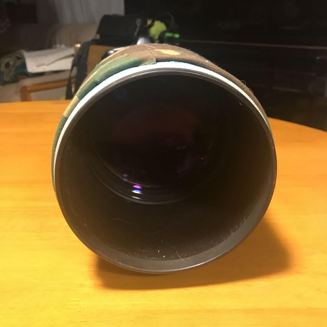 キャノンの望遠レンズです。現在も野鳥撮影に使っています。