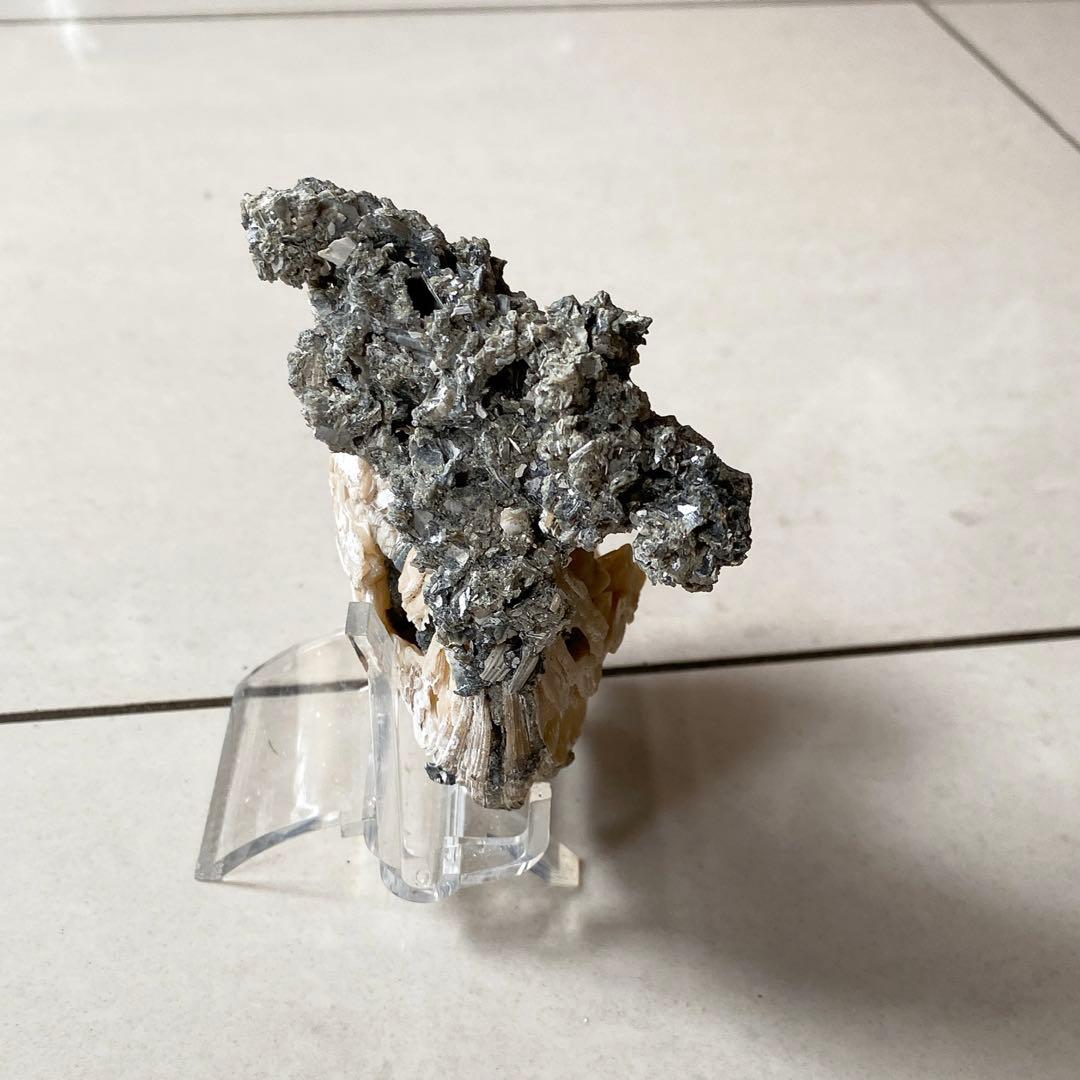 カルサイト　貝化石 鉱物