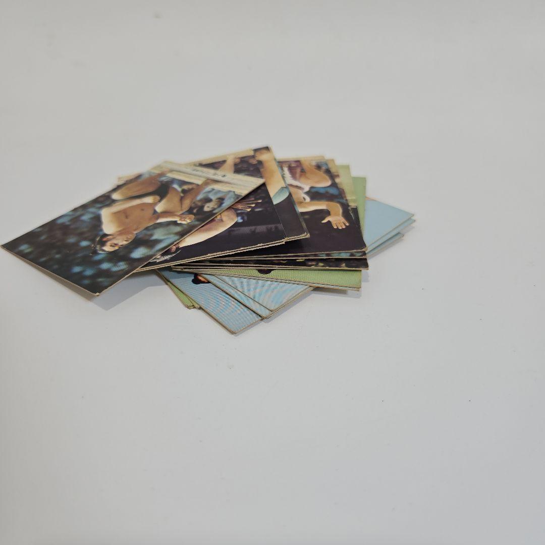 カルビー大相撲カード 20枚 昭和 マニア