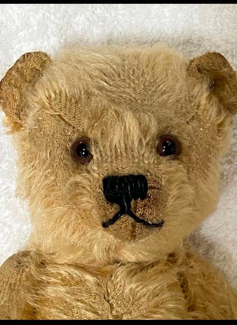 シュタイフ 古い時代のテディベア