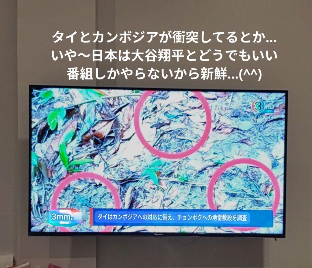 タイのお守りプラクルアン！虎の彫像！呪文入り！金運&勝負運アップ！魔除けにも！