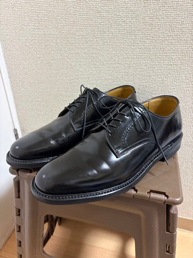 使用数回程度 REGAL プレーントゥ ブラック 26EE