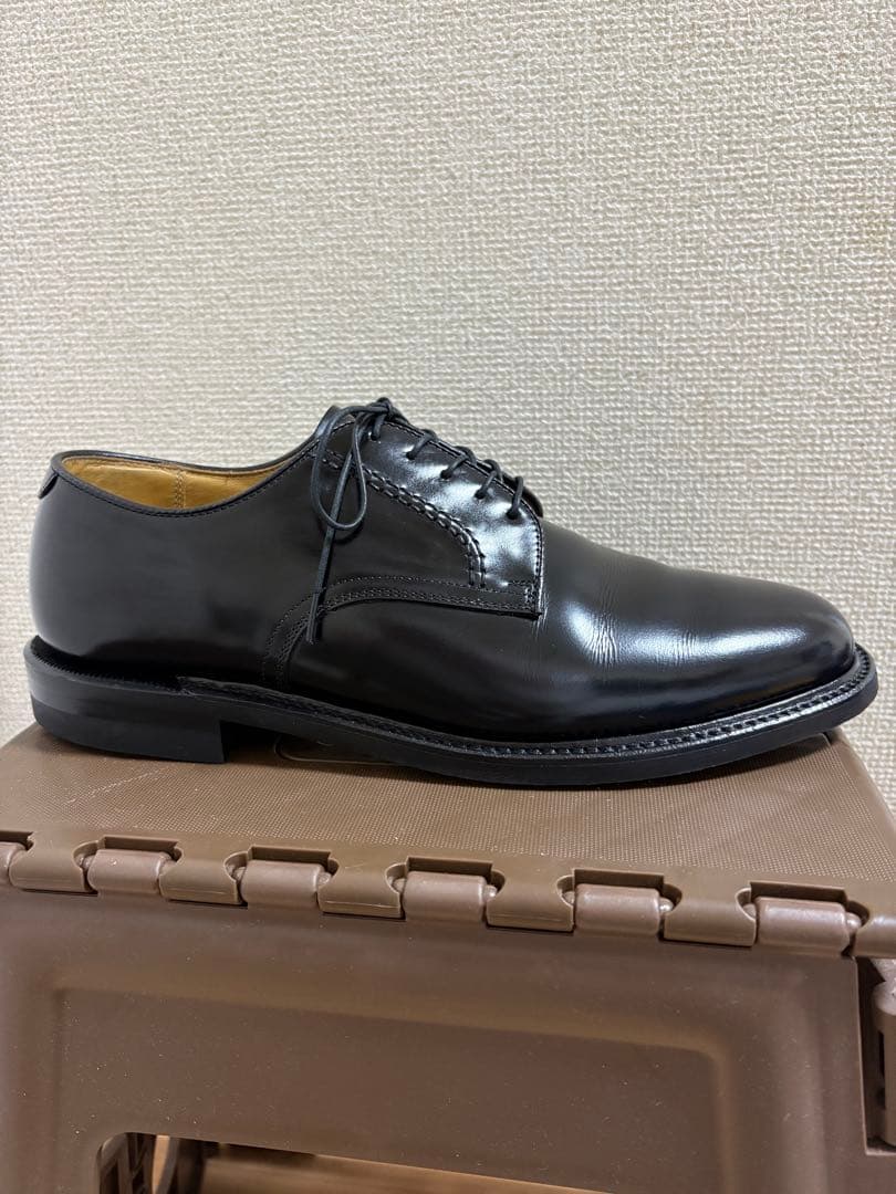 使用数回程度 REGAL プレーントゥ ブラック 26EE