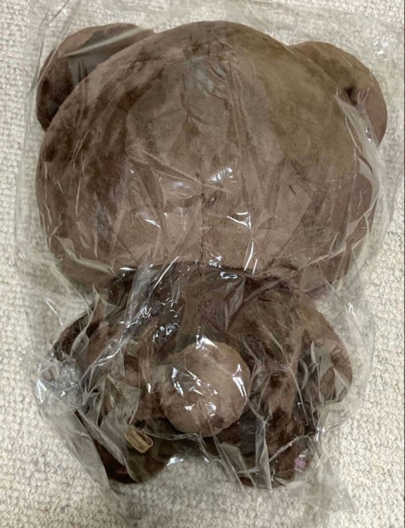 NCT127 ヘチャン ぬいぐるみ 40cm マスターダニム ワンヒョギ 왕효기