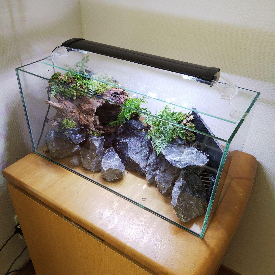 【完成品】滝のあるアクアテラリウム　イモリウム　苔テラリウム　アクアテラリウム