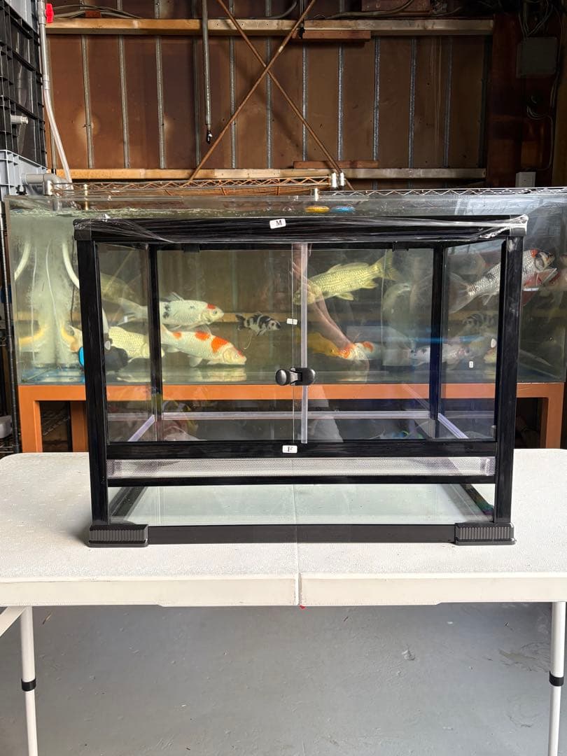 問屋ケージ爬虫類60x45x45cm両生類飼育組み立て式ガラス飼育ケージ送料込み