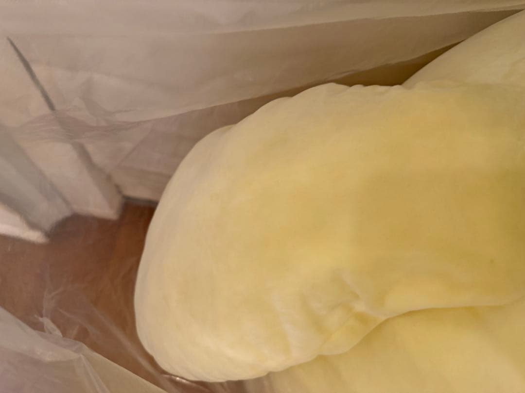 ❗️美品　毎日値下げ❗️すべてを受け入れるポムポムプリン