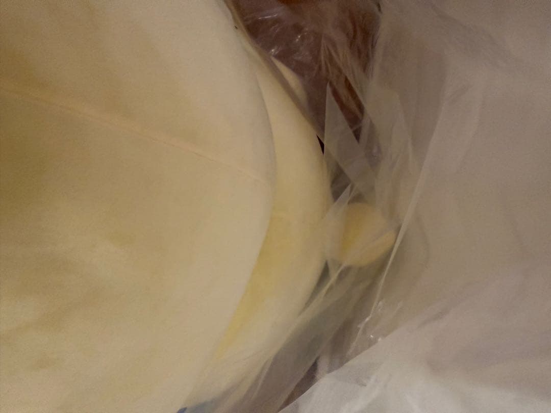 ❗️美品　毎日値下げ❗️すべてを受け入れるポムポムプリン