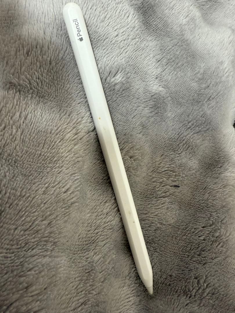 『はまさん専用』iPadPro + ApplePencil