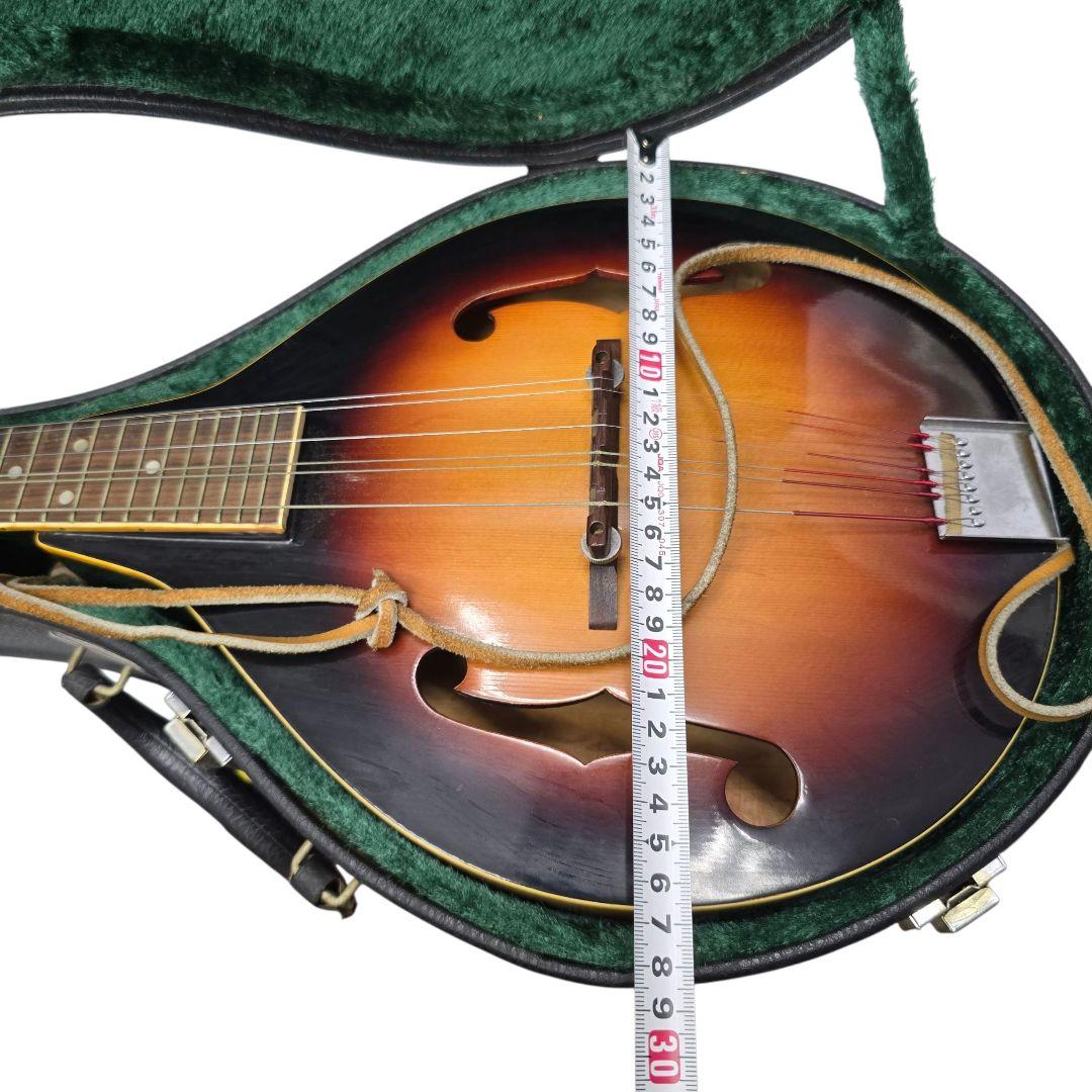 値下げjumbo ジャンボ フラットマンドリン ハードケース付